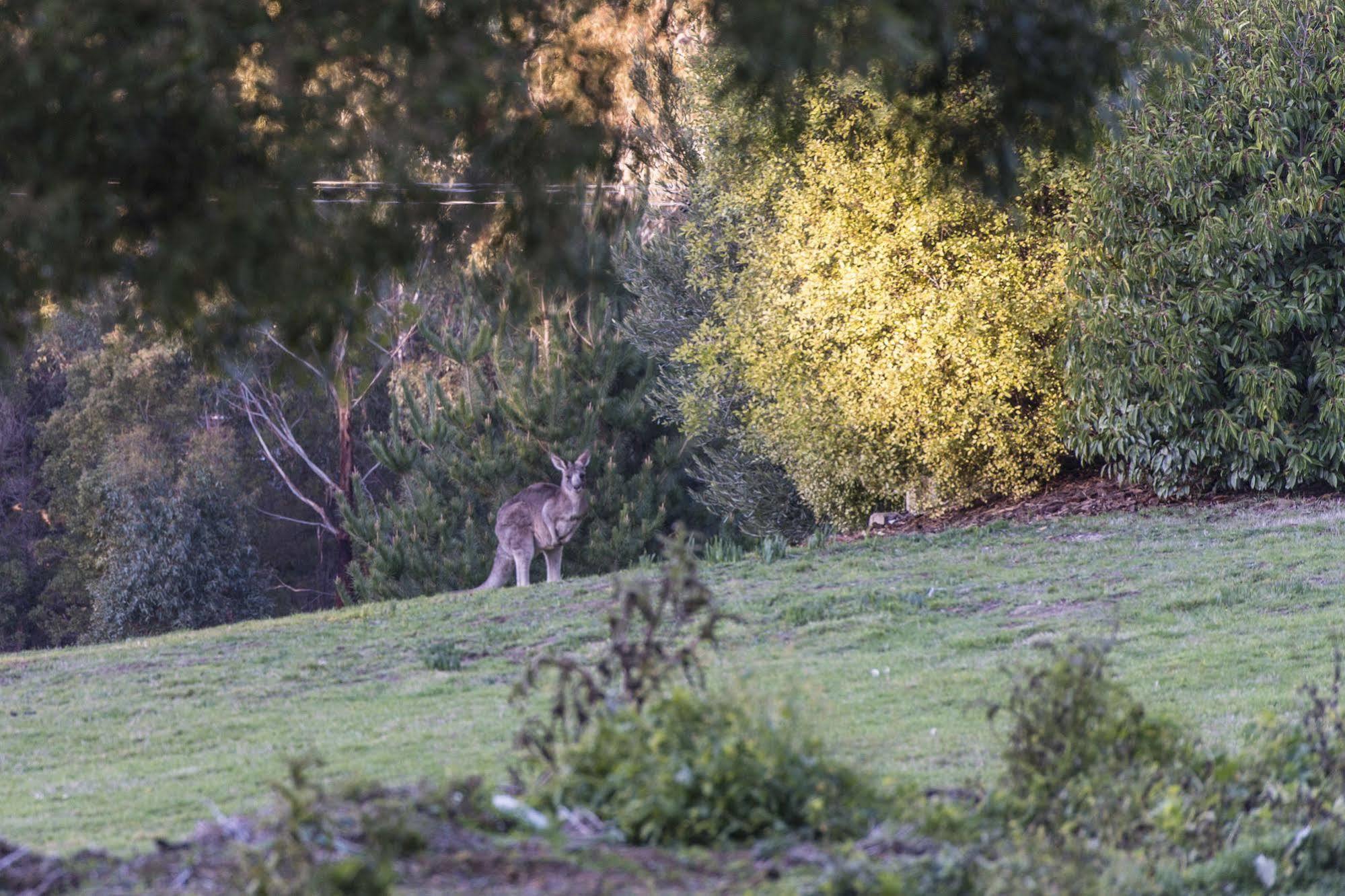 Macedon Ranges Hotel & Spa Kültér fotó